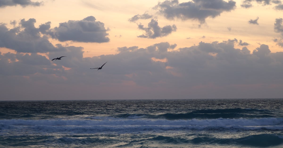 découvrez tout ce qu'il faut savoir sur l'annulation de vol, y compris les droits des passagers, les procédures à suivre et les conseils pour gérer cette situation imprévue. restez informé et préparez-vous pour toute éventualité.