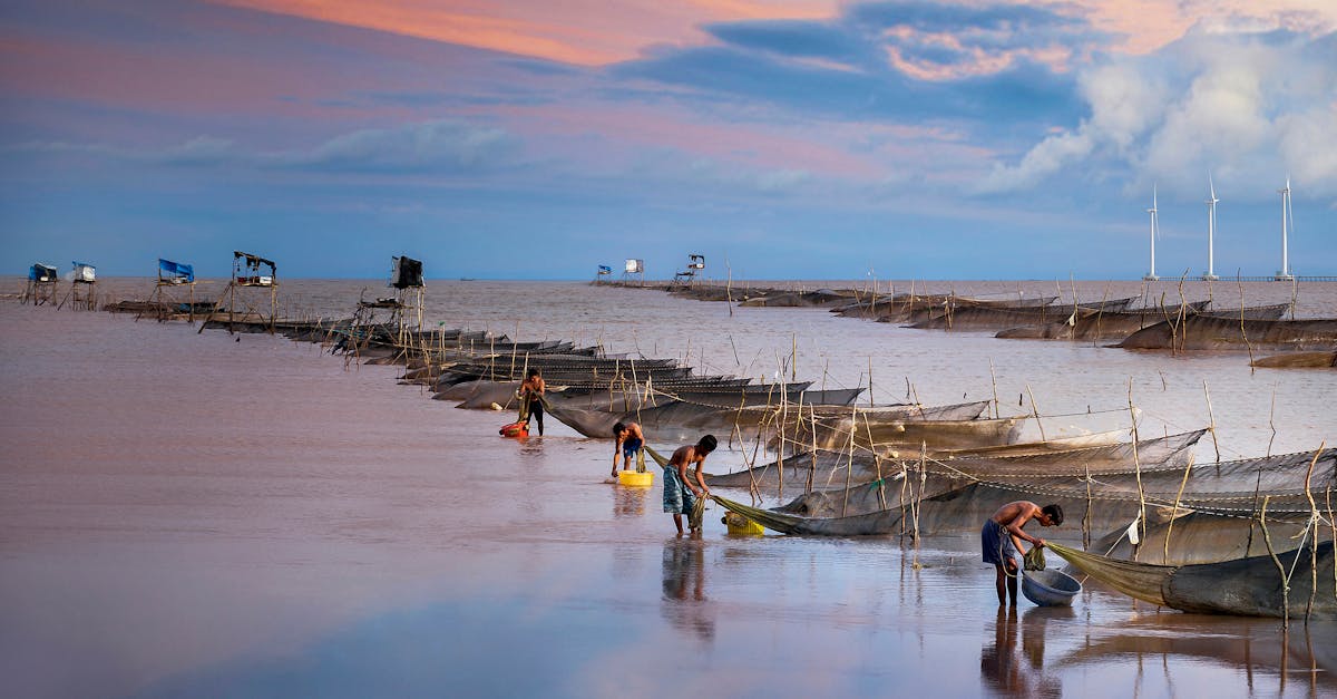 découvrez nos conseils indispensables pour préparer votre voyage comme un pro. explorez notre blog de voyage pour des astuces sur la planification, les essentiels à emporter, et les meilleures destinations à visiter. préparez-vous à vivre des aventures inoubliables dès maintenant !